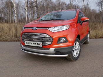 Передняя защита для Ford EcoSport (2014-2015) - ОбвесКарРу VIN: FORECOSPOR14-02. 
