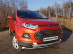 Передняя защита для Ford EcoSport (2014-2015)