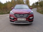 Передняя защита для Hyundai Santa Fe Premium (2015-)