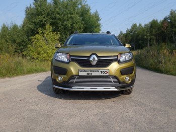 Передняя защита TCC для Renault Sandero Stepway (2014-н.в.) - ОбвесКарРу VIN: RENSANST15-01. 