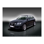 Пороги алюминиевые (Alyans) для Audi Q5 (2008-н.в.)