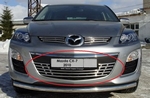 Решетка радиатора нижняя для Mazda CX-7