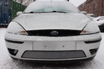 Защитная сетка радиатора ProtectGrille для Ford Focus I рестайлинг (2003-2005 Хром)