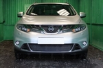 Защитная сетка радиатора ProtectGrille для Nissan Murano (2010-2015 Черная)