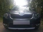 Защитная сетка радиатора ProtectGrille для Skoda Yeti City (2014-2015 Черная)