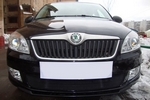 Защитная сетка радиатора ProtectGrille для Skoda Fabia 2, (2011-2015 Черная)