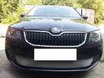 Защитная сетка радиатора ProtectGrille для Skoda Octavia А7 Active (2013-2015 Хром)