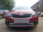 Защитная сетка радиатора ProtectGrille для Skoda Rapid (2013-2015 Хром)