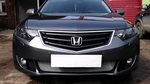 Защитная сетка радиатора ProtectGrille для Honda Accord VIII (2008-2011 Хром)