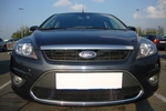 Защитная сетка радиатора ProtectGrille для Ford Focus II рестайлинг (2008-2012 Черная)