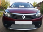 Защитная сетка радиатора ProtectGrille для Renault Sandero Stepway (2010-2014 Хром)