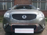 Защитная сетка радиатора ProtectGrille для Ssang Yong Actyon C200 (2010-2013 Черная)