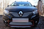 Защитная сетка радиатора ProtectGrille для Renault Sandero Stepway (2014-2015 Хром)