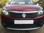 Защитная сетка радиатора ProtectGrille для Renault Sandero Stepway (2010-2014 Черная)