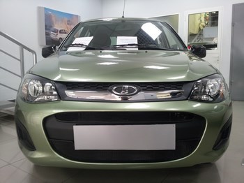 Защитная сетка радиатора ProtectGrille для Lada Kalina 2, 2 части (2013-2015 Черная) - ОбвесКарРу VIN: LKAL2.black. 