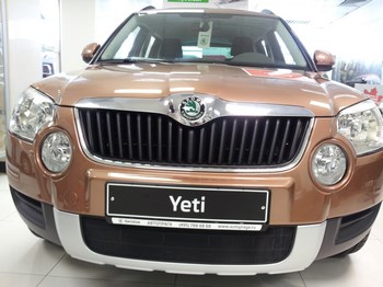Защитная сетка радиатора ProtectGrille для Skoda Yeti (2009-2013 Черная) - ОбвесКарРу VIN: SKYT.black. 