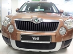 Защитная сетка радиатора ProtectGrille для Skoda Yeti (2009-2013 Черная)