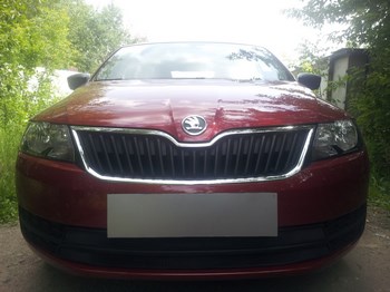 Защитная сетка радиатора ProtectGrille для Skoda Rapid (2013-2015 Черная) - ОбвесКарРу VIN: SKRAP.black. 