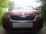 Защитная сетка радиатора ProtectGrille для Skoda Rapid (2013-2015 Черная)