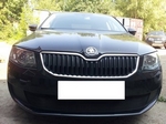 Защитная сетка радиатора ProtectGrille для Skoda Octavia А7 Active (2013-2015 Черная)