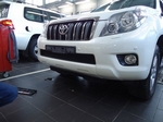 Защитная сетка радиатора ProtectGrille для Toyota LC Prado 150 (2009-2014 Черная)