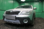 Защитная сетка радиатора ProtectGrille для Skoda Octavia Scout (2004-2008 Хром)