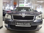 Защитная сетка радиатора ProtectGrille для Skoda Octavia А5 (2008-2013 Черная)