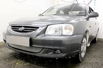 Защитная сетка радиатора ProtectGrille для Hyundai Accent ТагАЗ (2001-2012 Хром)