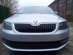 Защитная сетка радиатора ProtectGrille для Skoda Octavia А7 Ambition-Elegance (2013-2015 Черная)