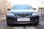 Защитная сетка радиатора ProtectGrille нижняя для Mazda 6 (2002-2005 Черная)