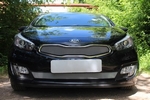 Защитная сетка радиатора ProtectGrille нижняя для KIA Ceed Pro III (2012-2015 Хром)