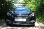 Защитная сетка радиатора ProtectGrille нижняя для KIA Ceed Pro III (2012-2015 Черная)