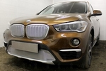 Защитная сетка радиатора ProtectGrille Premium нижняя для BMW X1 (2015-н.в. Хром)