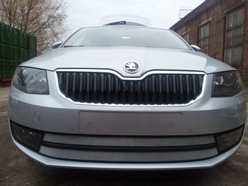 Защитная сетка радиатора ProtectGrille Premium для Skoda Octavia А7 Ambition-Elegance (2013-2015 Хром) - ОбвесКарРу VIN: SKA7.Premium1.chrome. 