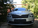 Защитная сетка радиатора ProtectGrille Premium для Skoda Superb (2014-2015 Черная)