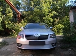 Защитная сетка радиатора ProtectGrille Premium для Skoda Superb (2014-2015 Хром)