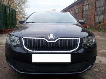 Защитная сетка радиатора ProtectGrille Premium для Skoda Octavia А7 Active (2013-2015 Черная) - ОбвесКарРу VIN: SKA7.Premium.black. 