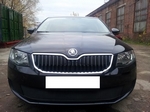 Защитная сетка радиатора ProtectGrille Premium для Skoda Octavia А7 Active (2013-2015 Черная)