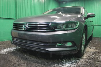 Защитная сетка радиатора ProtectGrille Standart для Volkswagen Passat B8 (2015-н.в. Черная) - ОбвесКарРу VIN: WVB8.1.black. 